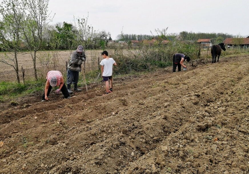 Foto: Milan Pilipović/RAS Srbija