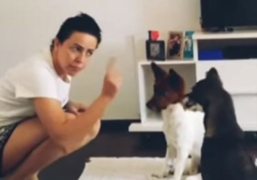 NJIHOVA VOLJA JE NEVJEROVATNA Zbog problema sa sluhom svog psa naučila znakovni jezik (VIDEO)