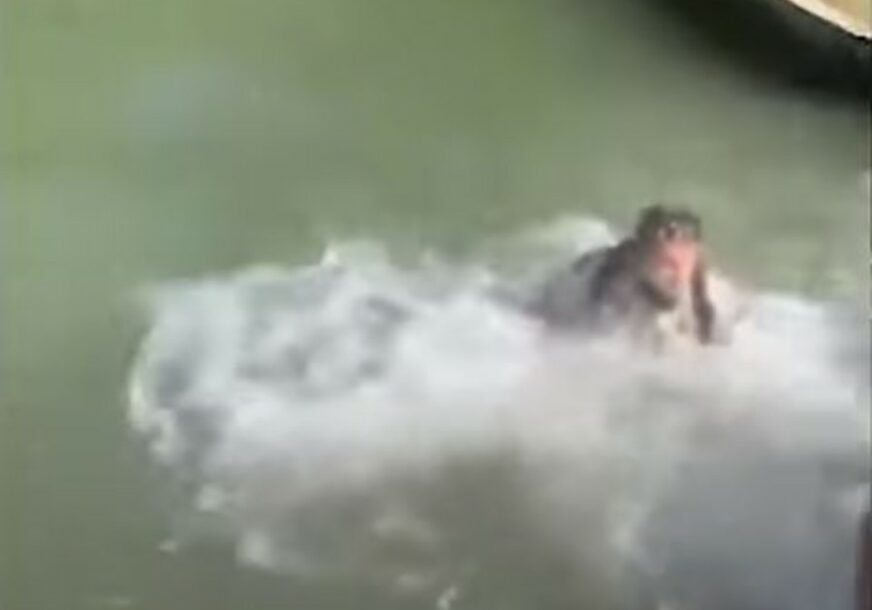 Teksaški rendžer upozoravao posjetioce parka da drže distancu, a oni ga GURNULI U JEZERO (VIDEO)