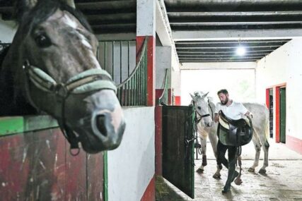 GLUMAC VRIJEDNO RADI U ŠTALI Strugar brine o 13 konja na salašu (FOTO)