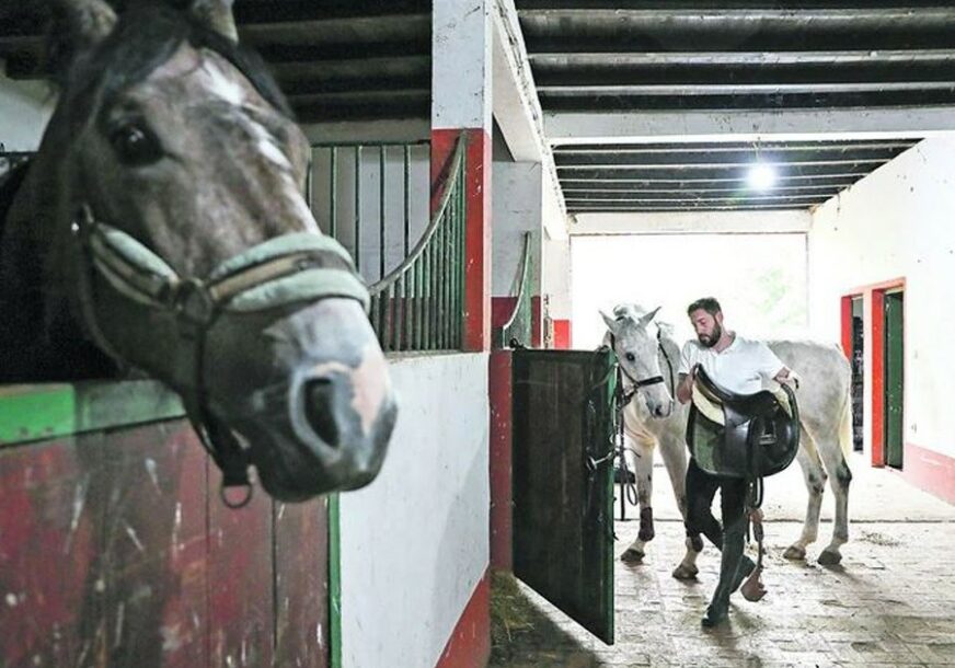GLUMAC VRIJEDNO RADI U ŠTALI Strugar brine o 13 konja na salašu (FOTO)