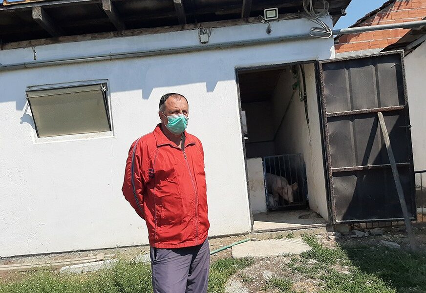 SVINJOGOJSTVO SE JOŠ DOBRO DRŽI Pandemija nije uzdrmala semberske farmere