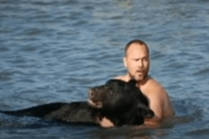 SAMO JE SKOČIO U VODU Adam je od davljenja spasao medvjeda teškog 200 kilograma (VIDEO)