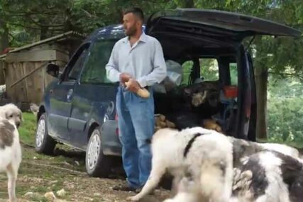 POSEBAN MOMAK Roditelji mu dali novac za matursko odijelo, on ih potrošio na PSE I OVCE (VIDEO)