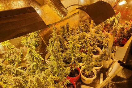 PRONAĐENA LABORATORIJA Ovako je Banjalučanin prostoriju u kući opremio za uzgoj marihuane (VIDEO)