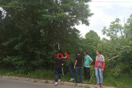 DOBRA VOLJA I ŽELJA DA POMOGNU Banjalučani spasli mačku sa drveta (FOTO)