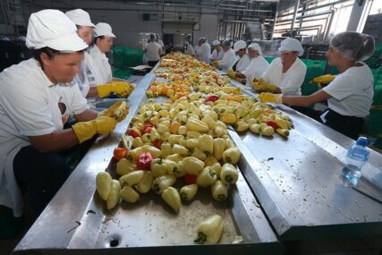 POČINJE OTKUP Pašalić: Očekujemo oko 20 hiljada tona povrća
