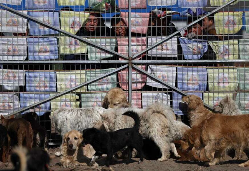 Foto: MARK CHINA OUT/EPA