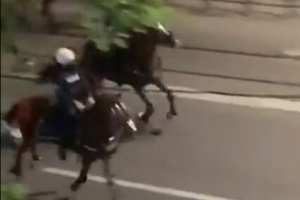 Konjička policija uradila ono što NISU USPJELA oklopna vozila (VIDEO)