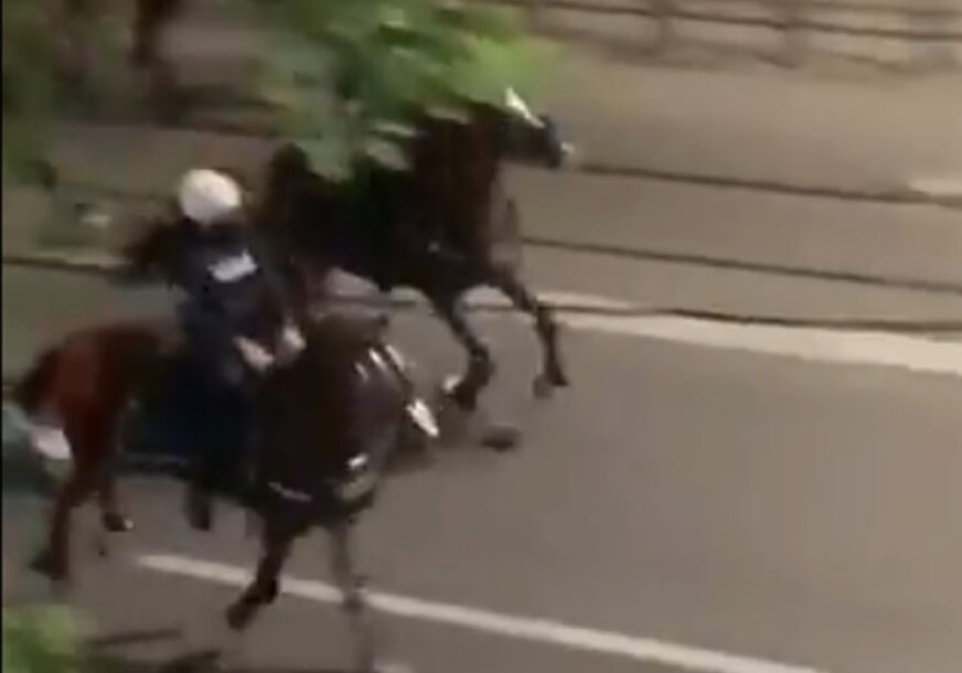 Konjička policija uradila ono što NISU USPJELA oklopna vozila (VIDEO)