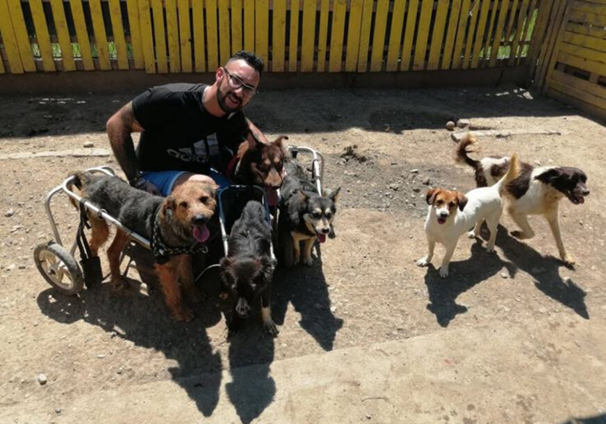 MOMAK ZLATNOG SRCA Jovica je svoj dom pretvorio u utočište za 50 pasa sa invaliditetom