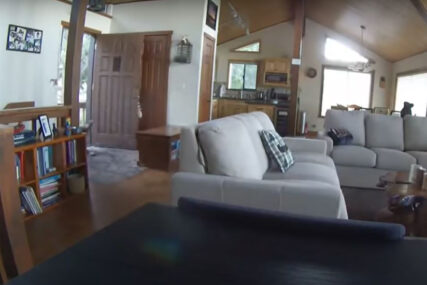 IZNENAĐENJE ZA VLASNIKE Video nadzor snimio neobičnog provalnika kako razvaljuje vrata (VIDEO)