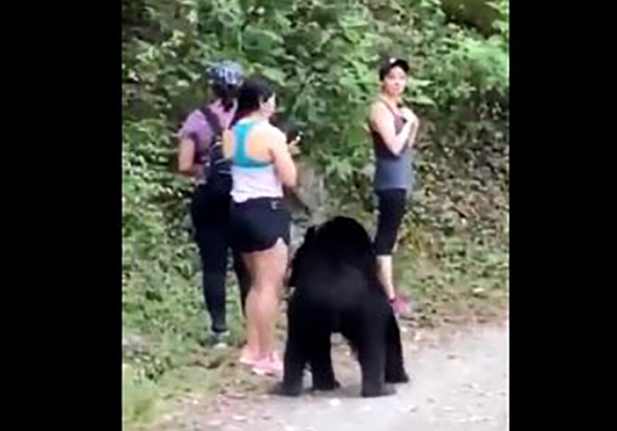 URNEBESNO Kako ostati smiren kada u šumi sretnete radoznalog medvjeda (VIDEO)