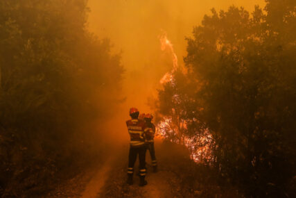 VATRA PRIJETILA KUĆAMA Ugašen požar iznad naselja u Trebinju