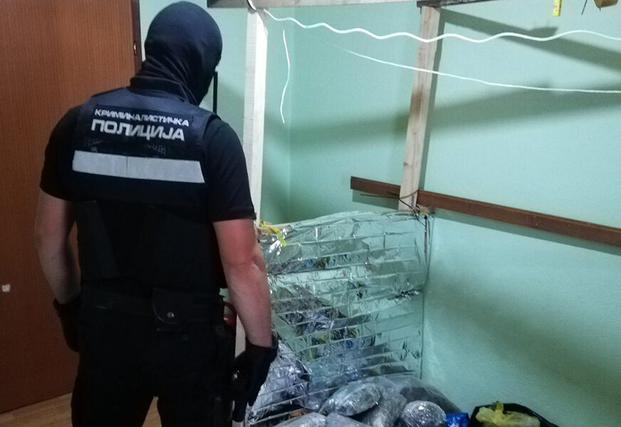 AKCIJA "SKRADIN" Hapšenje na nekoliko lokacija u Srpskoj, oduzeta DROGA (VIDEO, FOTO)