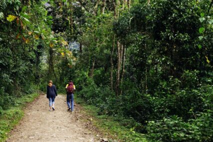 Mali pomaci u očuvanju prirodnih dobara: Banjaluka želi da zaštiti tri šumska kompleksa