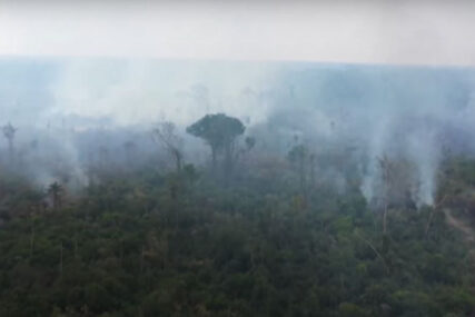 PLUĆA PLANETE JEDVA DIŠU Za 24 časa u Amazoniji zabilježeno više od 1.000 požara (VIDEO)