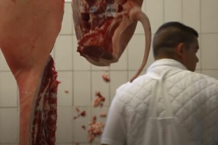 ZARAZA MEĐU RADNICIMA Zbog korone mesar mora da uništi 600 kilograma mesa