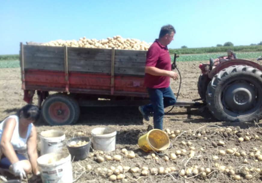 FOTO: SLAĐANA R. MRKONJIĆ/RAS SRBIJA