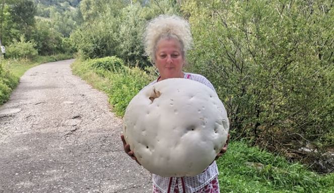 BILJANA JE ŠETALA I NAIŠLA NA ČUDO PRIRODE Sa Stare planine se vratila sa pečurkom teškom 11 kilograma (FOTO)