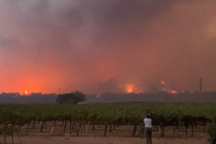 STRAVIČNI POŽARI DIVLJAJU KALIFORNIJOM Vatra guta vinograde, sve je u plamenu (VIDEO)