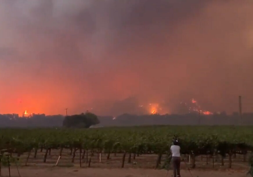 STRAVIČNI POŽARI DIVLJAJU KALIFORNIJOM Vatra guta vinograde, sve je u plamenu (VIDEO)