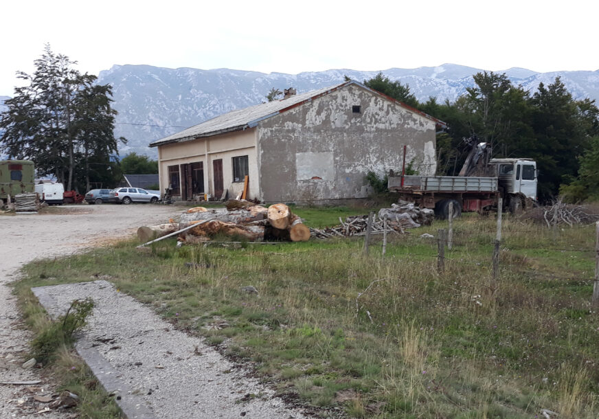 FOTO: MILKICA MILOJEVIĆ/RAS SRBIJA