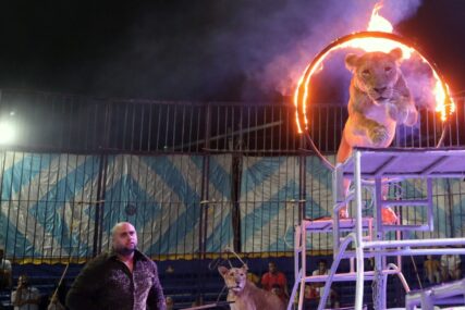 “VRIJEME DA OTVORIMO NOVU ERU” Zabranjuju se divlje životinje u cirkusima