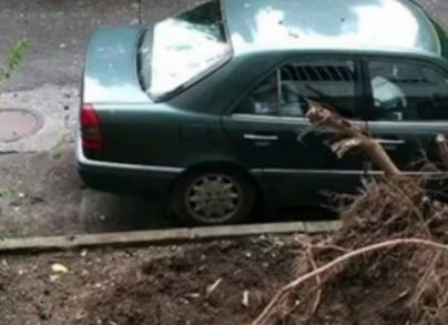 OLUJA U PODGORICI Vjetar obarao stabla, uništeno više automobila (VIDEO)