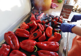 Mnogi se iznenade kada vide računicu: Koliko paprika zapravo treba za samo 1 kilogram ajvara?