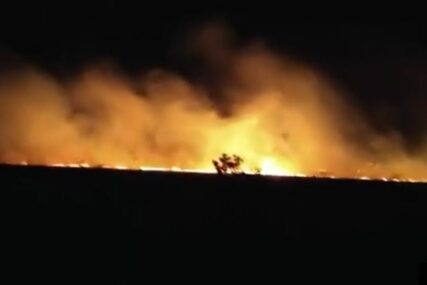 Vatrogasci šest sati gasili požar: Izgorjelo 10 hektara Parka prirode Hutovo blato