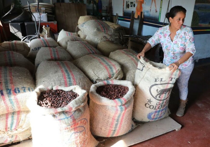 SUZBIJANJE URBANIZACIJE Evropa i Afrika u pregovorima oko kakaa