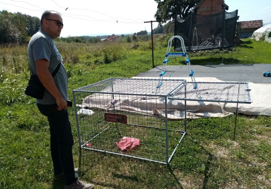 FOTO: BOJANA MAJSTOROVIĆ/RAS SRBIJA