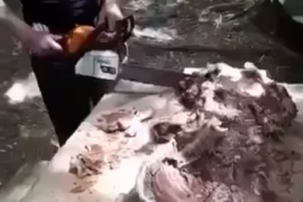 VIDEO ZAPALIO INTERNET Pokazali kako uživaju u ručku, jagnjetinu sjekli MOTORNOM TESTEROM