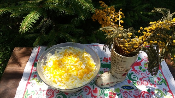 SOČNA I KREMASTA Ova salata odličan je izbor u bilo koje doba godine