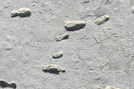 Iza njih se krije ČUDESNA PRIČA o majci i djetetu: Otkriveni fosilini otisci manjih i većih stopala od PRIJE 13.000 GODINA (FOTO)