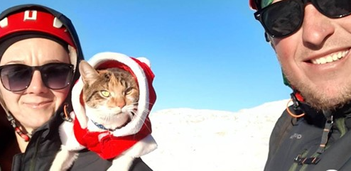 OSVOJILA SRCA MNOGIH Macika je jedina mačka planinarka iz BiH (FOTO)