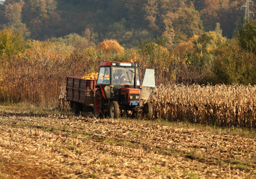 Mraz donio nevolje: Više od milijardu evra pomoći poljoprivrednicima