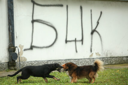 UŽAS U BANJALUCI Pas se otrgnuo sa lanca i napao djecu, troje završilo u UKC Srpske