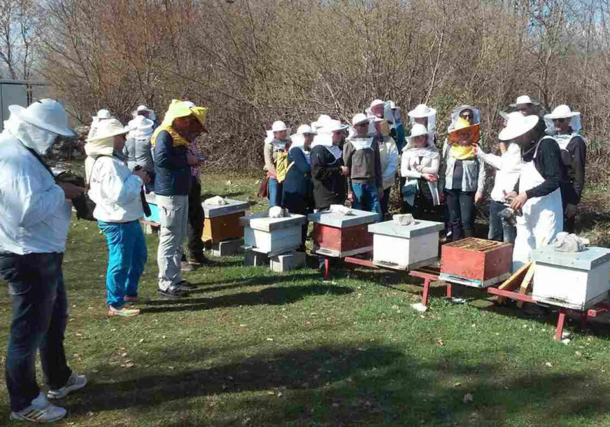 SLATKE TEGLE Hercegovački med stigao u Skandinaviju