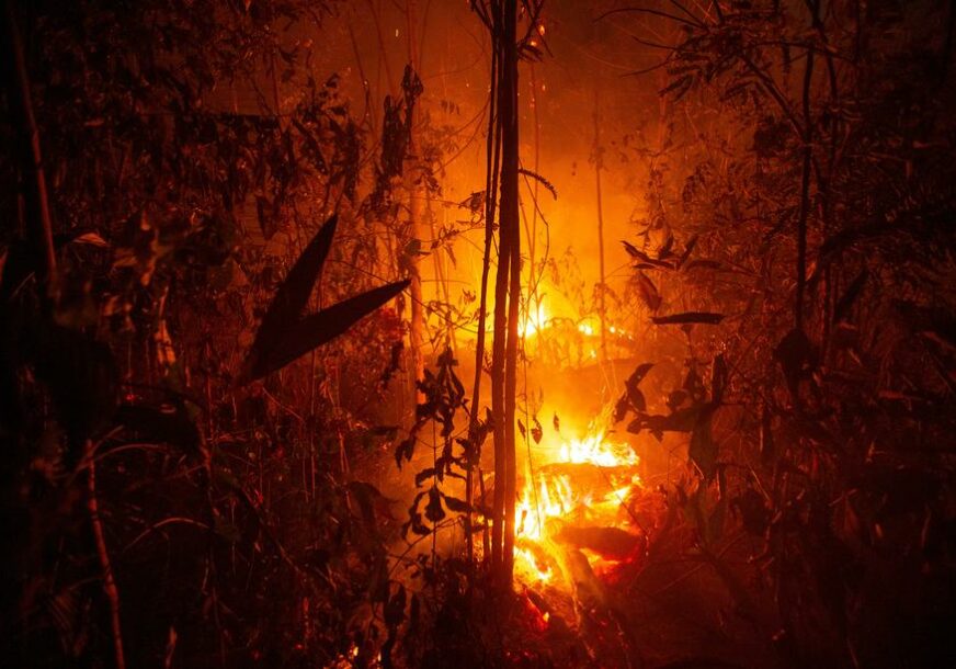 VATROGASCI NA TERENU Izbio veliki požar, jak vjetar otežava gašenje vatre