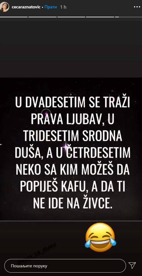 FOTO: SVETALAN CECA RAŽNATOVIĆ/INSTAGRAM SCREENSHOT