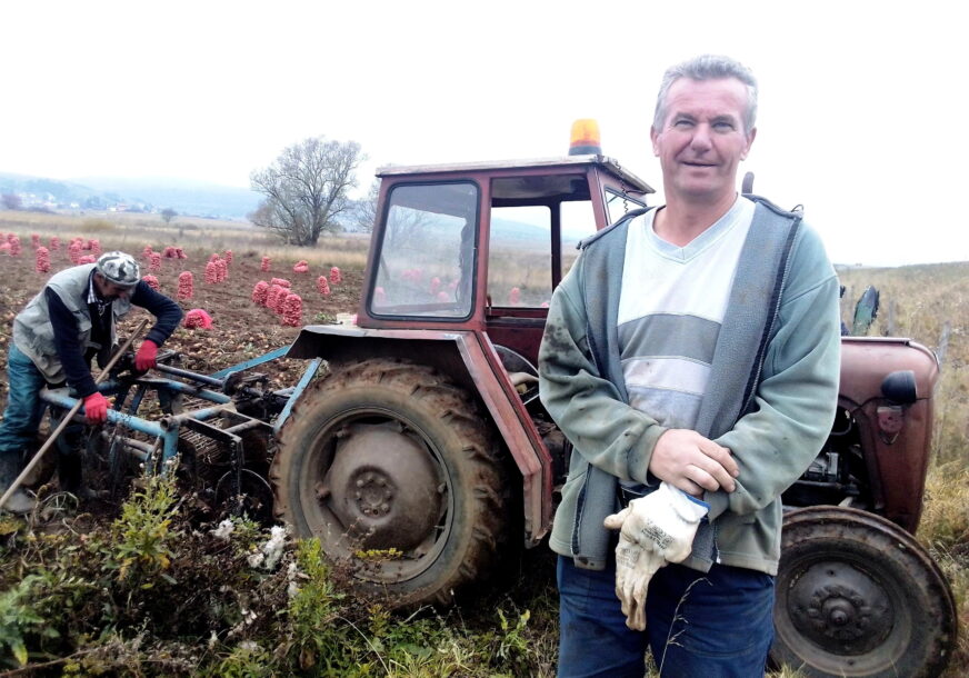 "KUPCE PRONALAZIM SAM" Slobodan je ove godine uzgojio 120 tona krompira, kvalitet odličan (FOTO)
