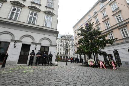 NEMA KRŠENJA POLICIJSKOG ČASA Na ulicama Austrije mirno, u bolnicama se zaoštrava situacija