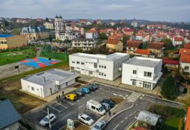Kvar na dalekovodu: Petrićevac ostao bez struje