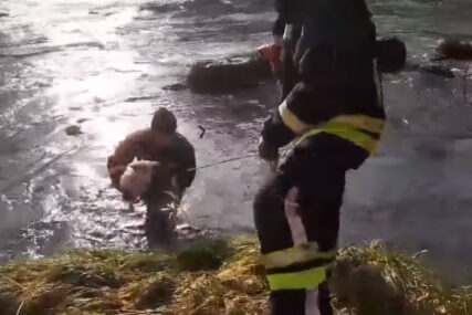 HUMAN GEST Banjalučki vatrogasci spasli psa iz Vrbasa (FOTO, VIDEO)