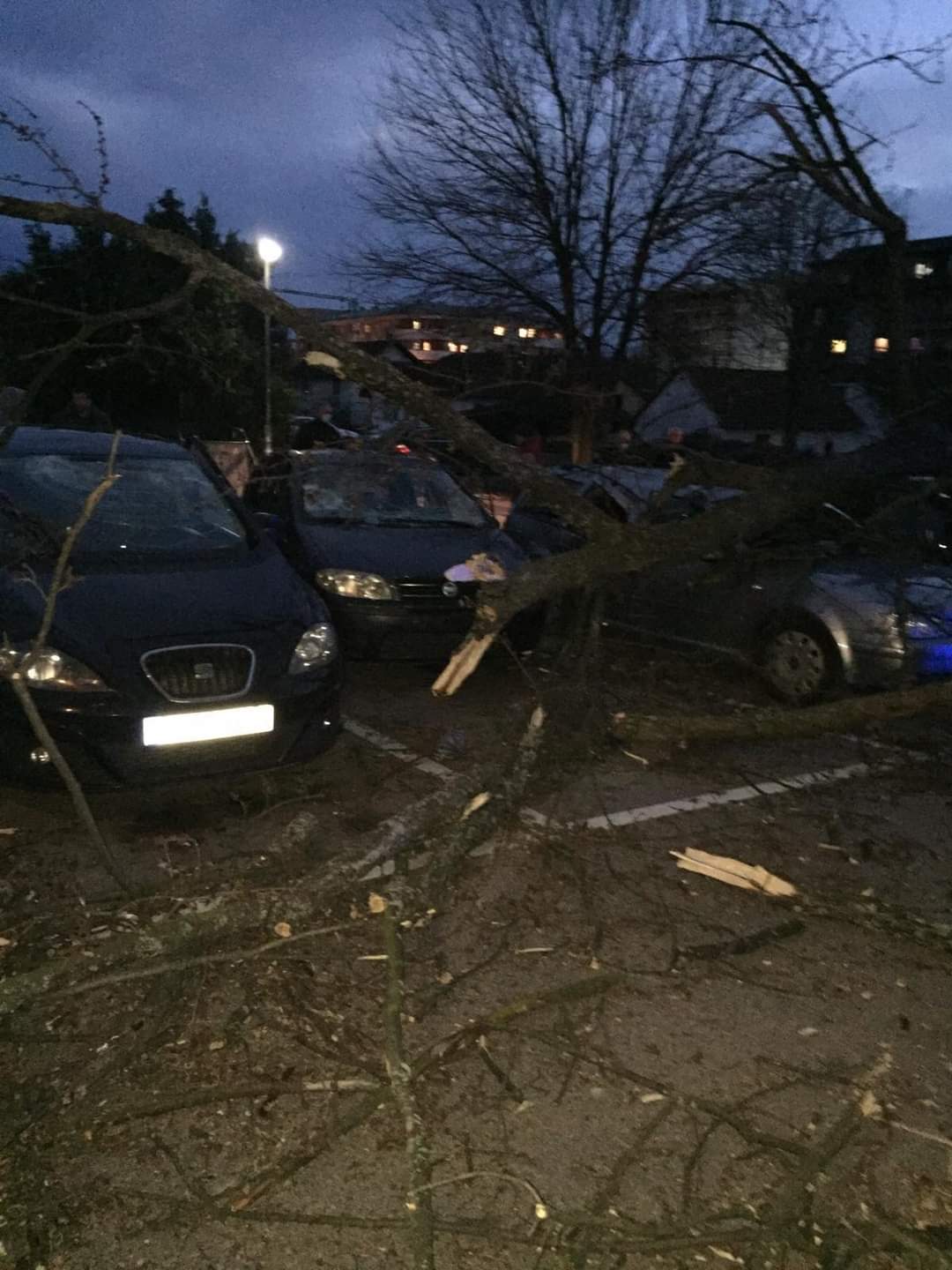 FOTO: USTUPLJENA FOTOGRAFIJA