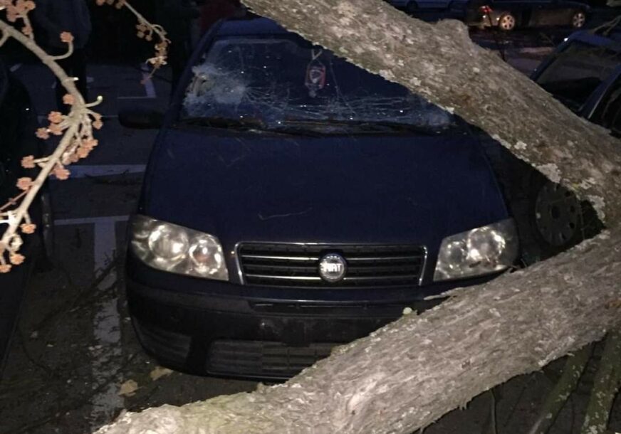 VJETAR HARA BANJALUKOM Stabla pala na auta u Boriku i kod parka Petar Kočić (FOTO)