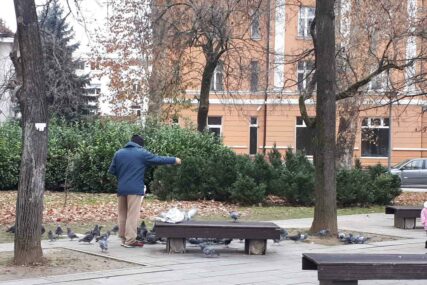 ONI IH NISU ZABORAVILI Banjalučani pomažu životinjama koje trebaju hranu