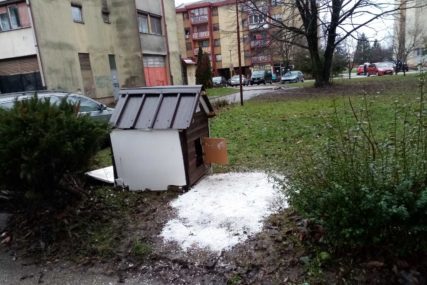 ČUPKO PODIJELIO KOMŠILUK Psu izgradili dom među zgradama u Prijedoru, ali neki misle da mu tu nije mjesto (FOTO)